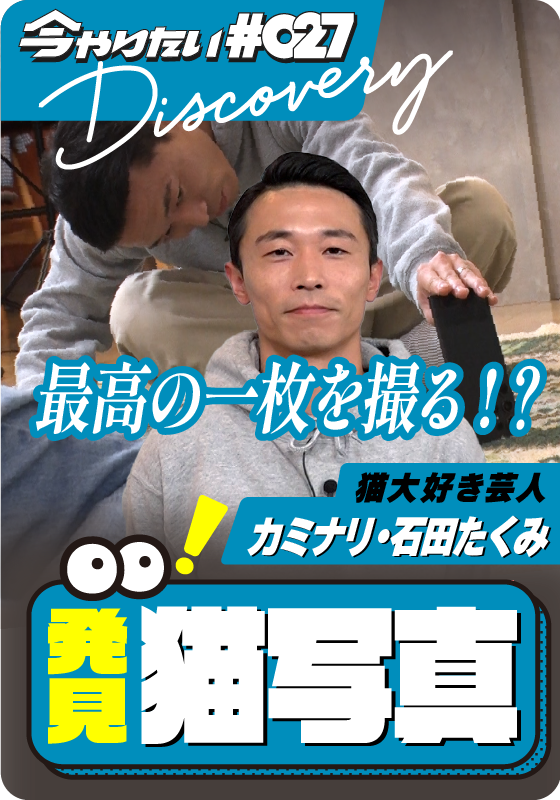 発見！猫写真サムネイル画像