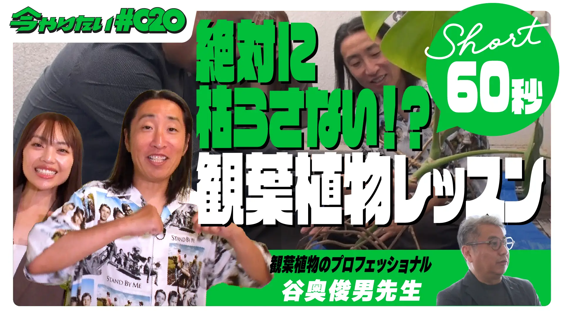 観葉植物サムネイル画像